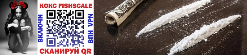 Купить закладки  Карачаевск  COCAIN 99% 