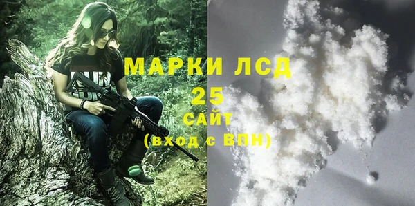 хмурый Дмитровск