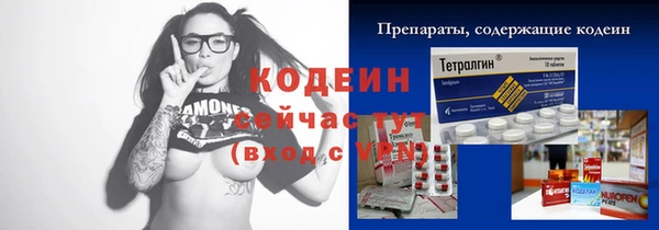 хмурый Дмитровск