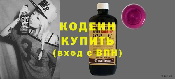 хмурый Дмитровск