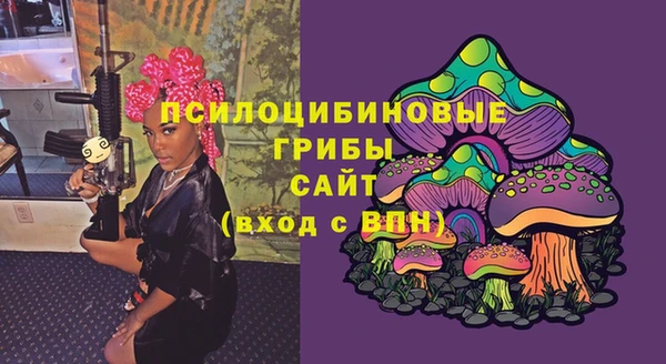 гидропоника Дмитриев