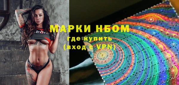 гидропоника Дмитриев