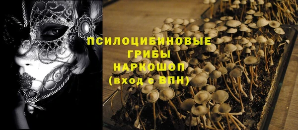 гидропоника Дмитриев