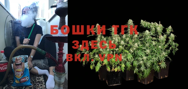 гидропоника Дмитриев