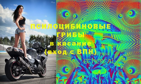гидропоника Дмитриев