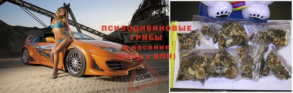 хмурый Дмитровск