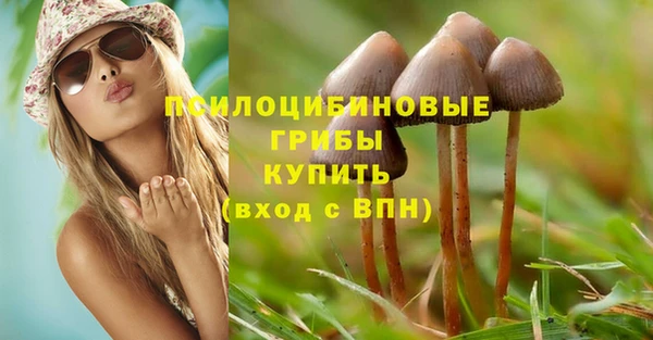 кристаллы Дмитров