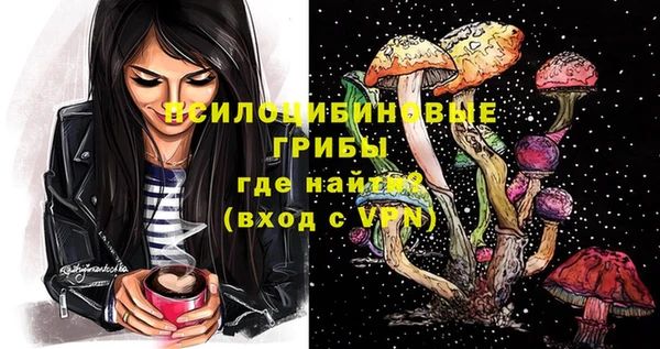 хмурый Дмитровск