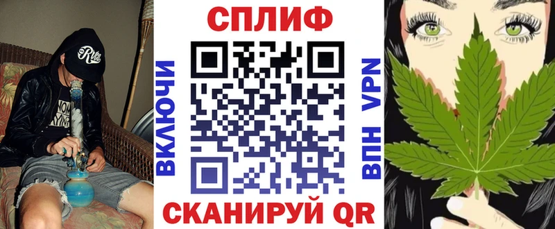 Канабис сатива  Купить  Карачаевск 